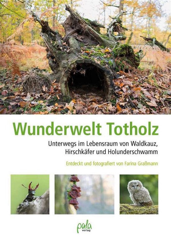 Cover for Graßmann · Wunderwelt Totholz (Bok)