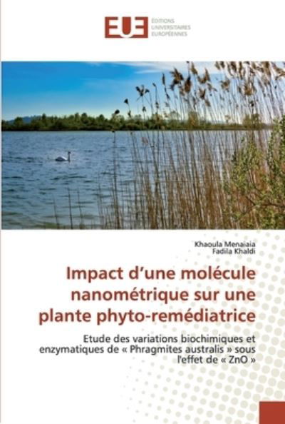 Cover for Menaiaia · Impact d'une molécule nanométr (Book) (2019)