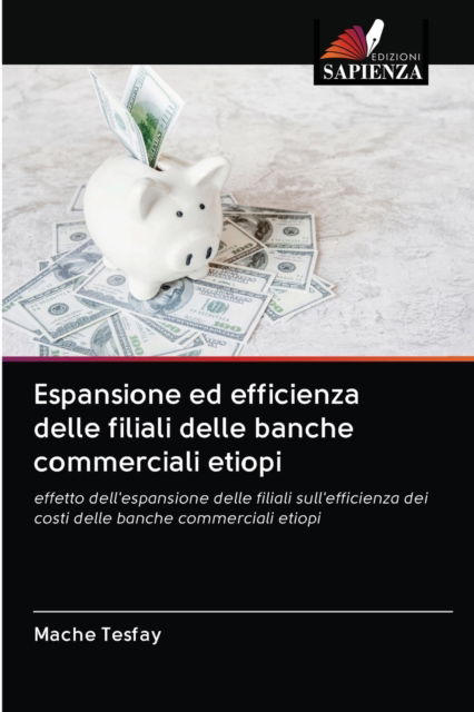 Cover for Mache Tesfay · Espansione ed efficienza delle filiali delle banche commerciali etiopi (Paperback Book) (2020)