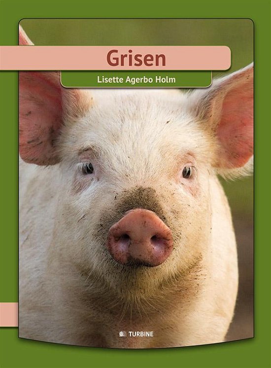 Cover for Lisette Agerbo Holm · Jeg Læser: Grisen (Gebundesens Buch) [1. Ausgabe] (2015)