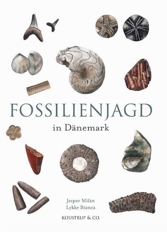 Cover for Jesper Milan · Naturserien: Fossilienjagd in Dänemark (Inbunden Bok) [1:a utgåva] (2024)