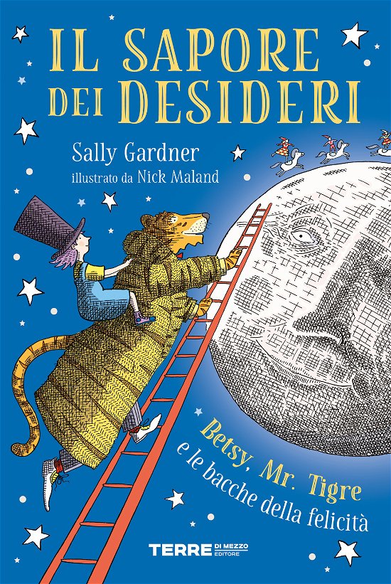 Cover for Sally Gardner · Il Sapore Dei Desideri. Betsy, Mr. Tigre E Le Bacche Della Felicita (DVD)