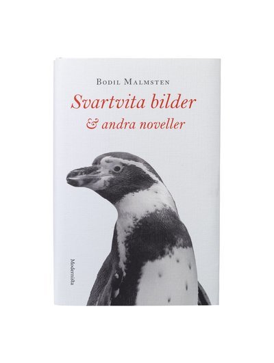 Cover for Bodil Malmsten · Svartvita bilder &amp; andra noveller (Bound Book) (2019)