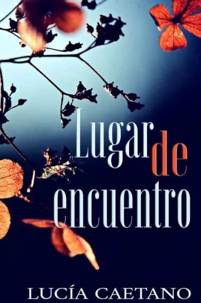 Cover for Lucia Caetano · Lugar de encuentro (Paperback Book) (2021)