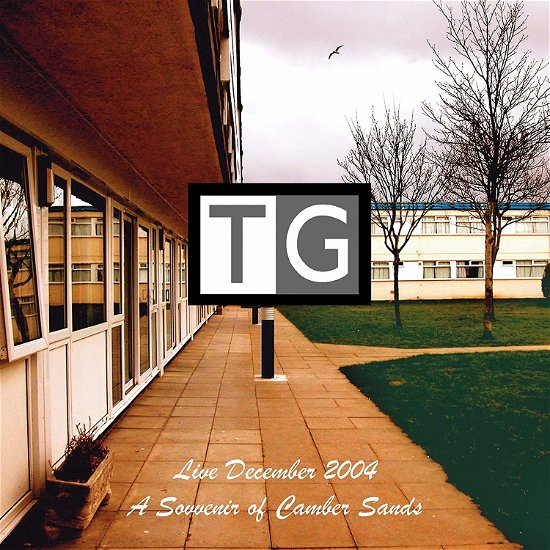 Cover for Throbbing Gristle · A Souvenir Of Camber Sands: Live (LP) [Coloured edition] (2021)