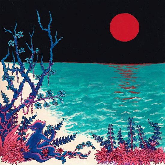 Cover for Glass Beach · The First Glass Beach Album (LP) (2020)