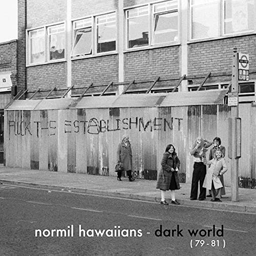 Cover for Normil Hawaiians · Dark World (LP) (2021)