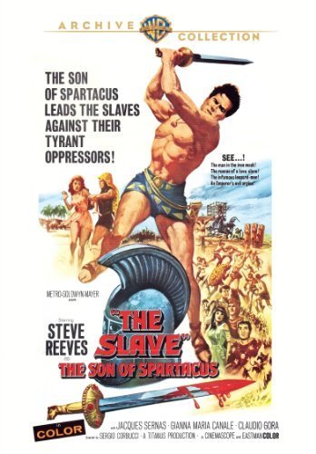 Cover for Slave (DVD) (2012)