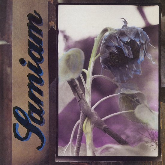 Cover for Samiam · Samiam (Clear Vinyl) (LP) (2023)