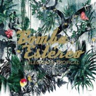 Cover for Bomba Estereo · Elegancia Tropical (CD) [Japan Import edition] (2012)