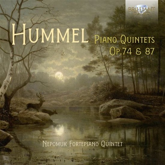 Cover for Nepomuk Fortepiano Quintet · Hummel Piano Quintets Op. 74 &amp; 87 (CD) (2023)