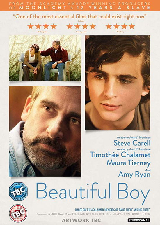 Beautiful Boy - Felix Van Groeningen - Movies - Studio Canal (Optimum) - 5055201842015 - May 20, 2019