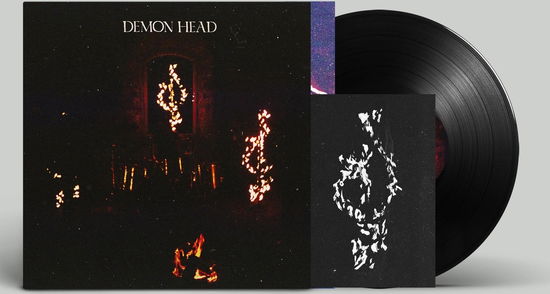 Cover for Demon Head · Through Holes Shine the Stars (LP) (2024)