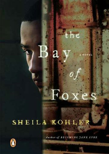 Cover for Sheila Kohler · The Bay of Foxes: a Novel (Pocketbok) (2012)