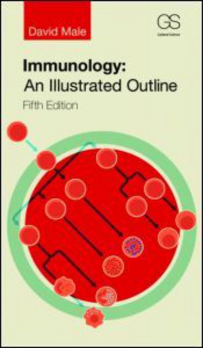 Cover for Male, David (Department of Life, Health &amp; Chemical Sciences, The Open University, Milton Keynes, UK) · Immunology: An Illustrated Outline (Paperback Book) [5 New edition] (2013)