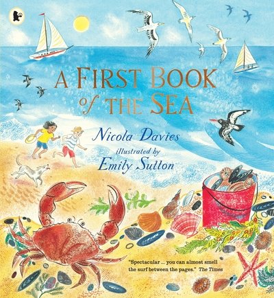 Cover for Nicola Davies · A First Book of the Sea (Pocketbok) (2020)
