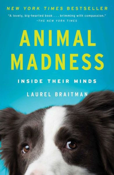 Cover for Laurel Braitman · Animal Madness: Inside Their Minds (Paperback Book) (2015)