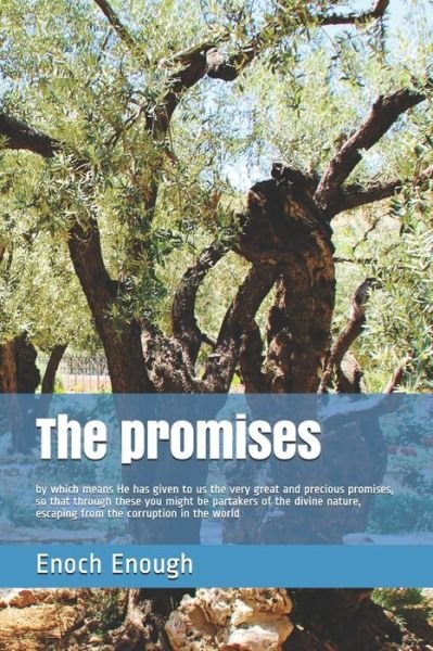 Cover for Enoch Enough · The promises (Paperback Bog) (2017)