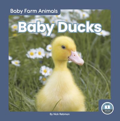 Cover for Nick Rebman · Baby Ducks - Baby Farm Animals (Paperback Book) (2022)