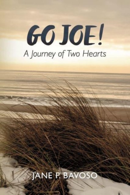 Cover for Jane P. Bavoso · Go Joe! A Journey of Two Hearts (Paperback Bog) (2022)