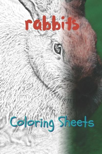 Cover for Julian Smith · Rabbit Coloring Sheets (Pocketbok) (2019)