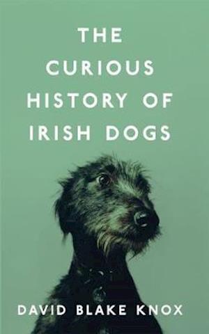 Cover for David Blake Knox · The Curious History of Irish Dogs (Paperback Book) (2018)