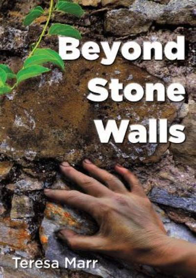 Teresa Marr · Beyond Stone Walls (Taschenbuch) (2016)