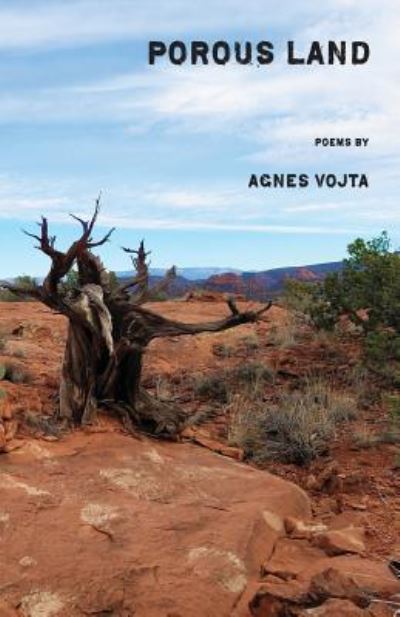 Cover for Agnes Vojta · Porous Land (Paperback Book) (2019)