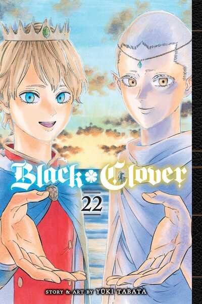 Cover for Yuki Tabata · Black Clover, Vol. 22 - Black Clover (Taschenbuch) (2020)