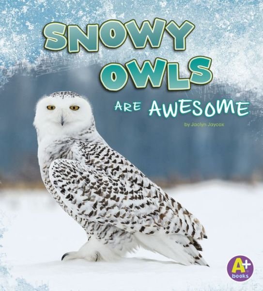 Snowy Owls Are Awesome - Jaclyn Jaycox - Livros - Capstone - 9781977110015 - 1 de agosto de 2019