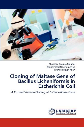 Cover for Muneeb Hayat Khan · Cloning of Maltase Gene of Bacillus Licheniformis in Escherichia Coli: a Current View on Cloning of -glucosidase Gene (Paperback Book) (2012)