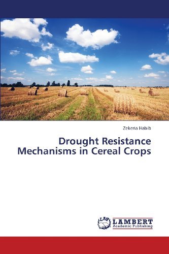 Cover for Zekeria Habib · Drought Resistance Mechanisms in Cereal Crops (Taschenbuch) (2013)