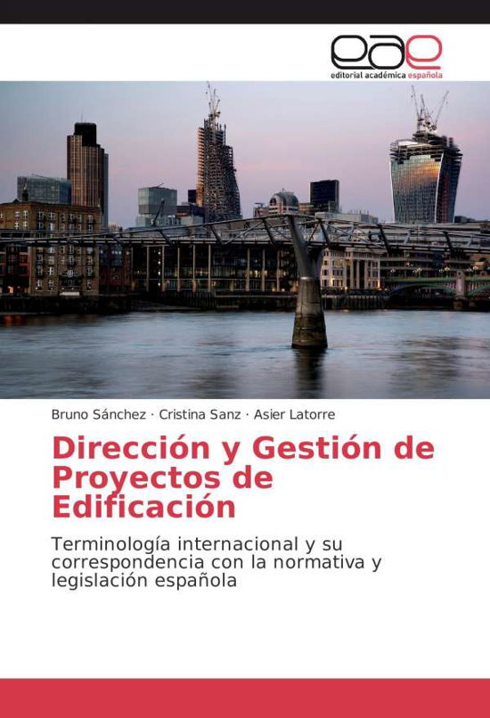 Cover for Sánchez · Dirección y Gestión de Proyecto (Bok)