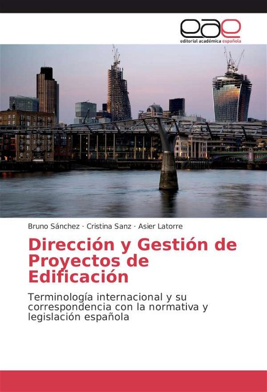 Cover for Sánchez · Dirección y Gestión de Proyecto (Bok)