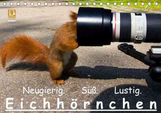 Eichhörnchen (Tischkalender 20 - Reichert - Books -  - 9783670387015 - 