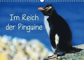 Im Reich der Pinguine (Wandkalend - Pfaff - Bøger -  - 9783671955015 - 