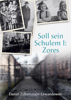 Cover for Daniel Zylbersztajn-Lewandowski · Soll sein Schulem I: Zores (Book) (2025)