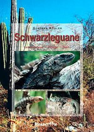 Cover for Gunther Köhler · Schwarzleguane (Paperback Book) (2002)