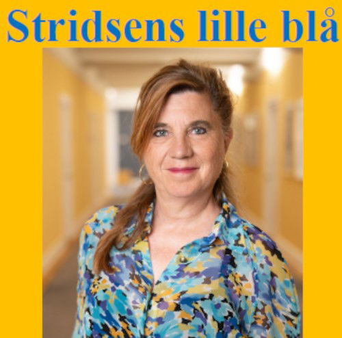 Cover for Marianne Stidsen · Stridsens lille blå (Paperback Book) [1. wydanie] (2024)