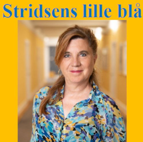 Stridsens lille blå - Marianne Stidsen - Books - Forlaget Kolbein - 9788785235015 - December 1, 2024