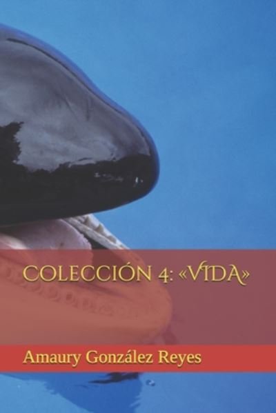 Cover for Amaury González Reyes · Coleccion 4 (Taschenbuch) (2020)