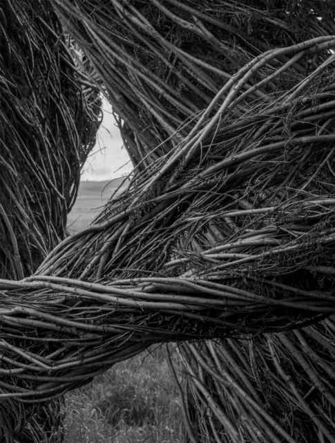 Cover for Patrick Dougherty | James Florio: Sticks (Hardcover Book) (2025)