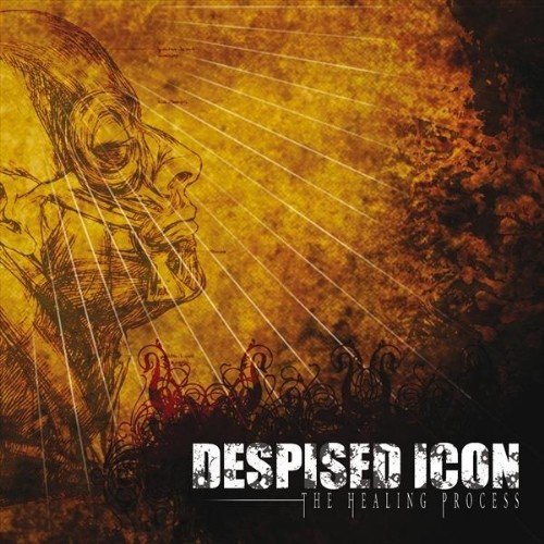 Cover for Despised Icon · Healing Process (LP) (2022)