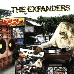 Cover for Expanders · Hustling Culture (LP) (2015)