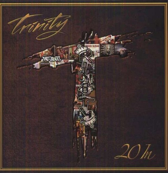 Cover for Trinity · 20 In (LP) (2013)
