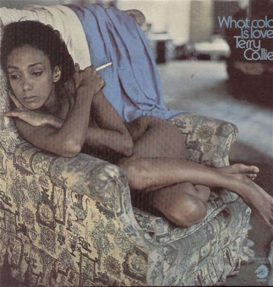 Cover for Terry Callier · What Color is Love (LP) (1990)