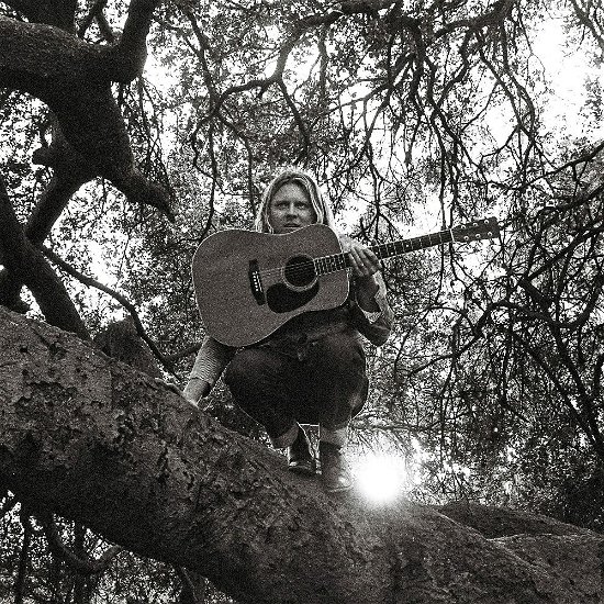 Cover for Ty Segall · Hello. Hi (LP) (2022)