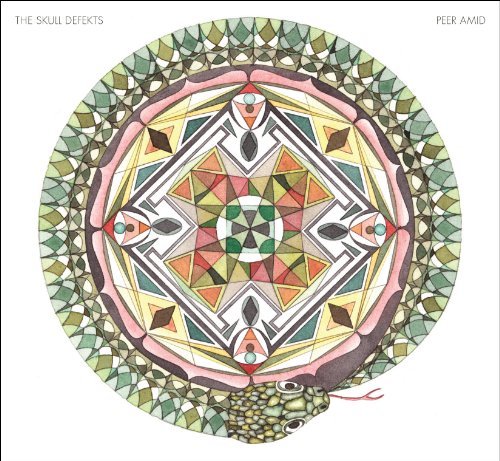 Cover for Skull Defekts · Peer Amid (LP) (2011)