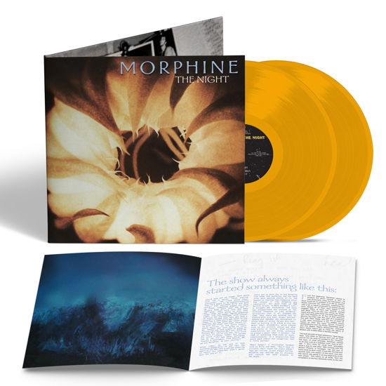 Night - Morphine - Musikk - Modern Classics Recordings - 0826853193016 - 8. september 2023
