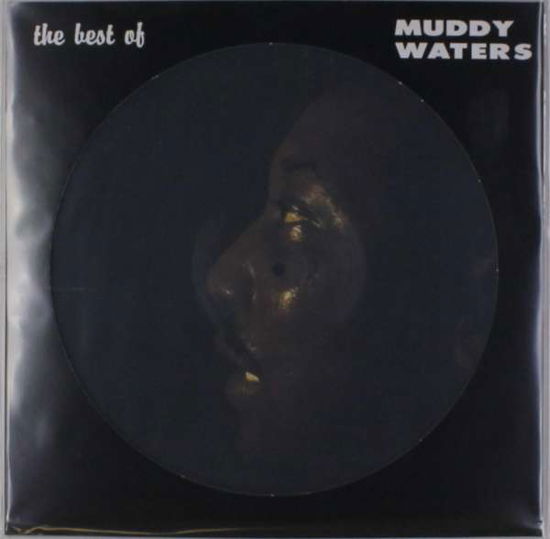 The Best of Muddy Waters - Muddy Waters - Music - BLUES - 0889397670016 - December 7, 2016